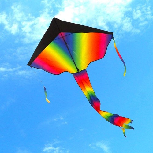 Drachen regenbogen einleiner - drachen,