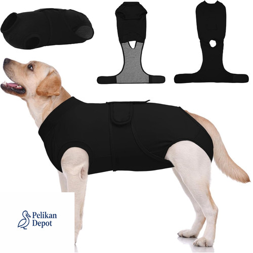 Hundebody nach body für - nach,