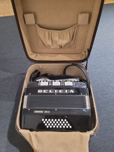 Accordion delicia junior xii - delicia,
