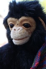 Künstlerteddy bzw. Affe eine Rarität einfach ein Traum voll beweglich ansehen