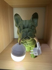 Französische Bulldoge Hund