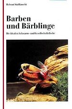 Barben und Bärblinge. Die
