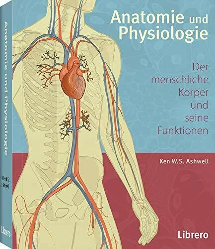 Anatomie und physiologie - und, physiologie:
