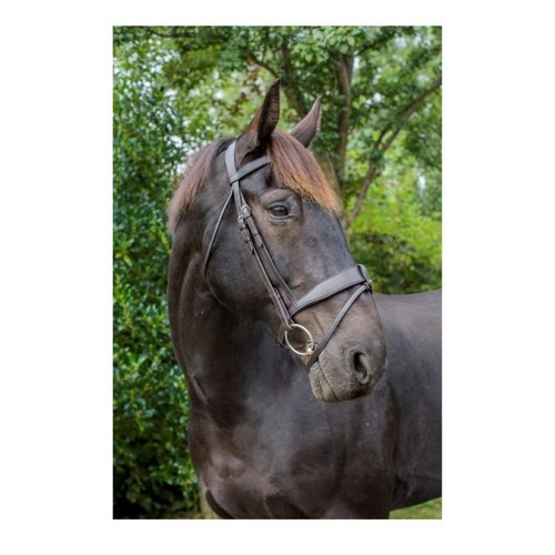 Eco rider ultra comfort - rider,
