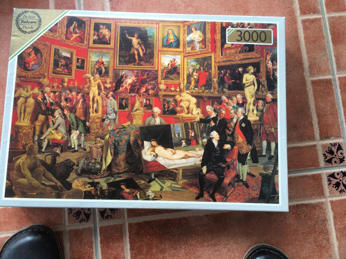 Falcon majestic puzzle 3000 - majestic,