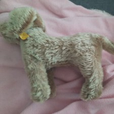 Seltene Steiff Hund