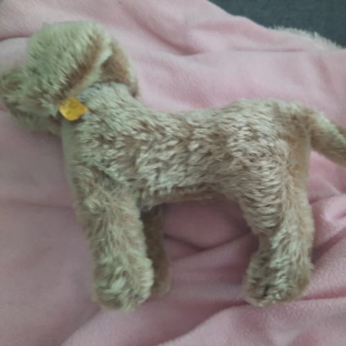 Seltene steiff hund - seltene,