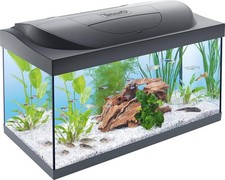 Tetra Starter Line 54 L Aquarium Komplett-Set - inkl. Tag- & Nachtlicht, LED