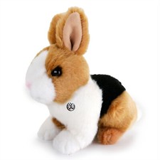 Hase kaninchen häschen - hase,