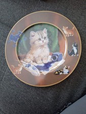 Katzenteller Sammlerstück " Hab ich das nicht fein gemacht " Von Jürgen Scholz 