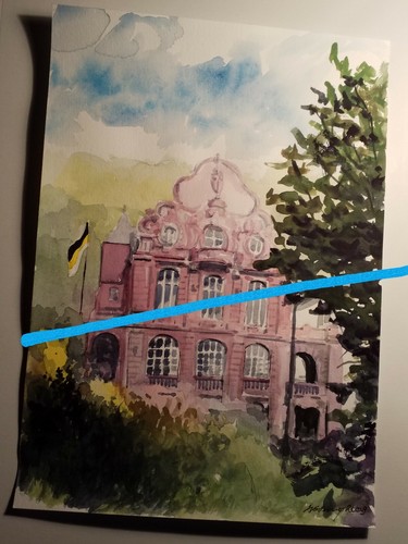 Corps suevia heidelberg - corps,