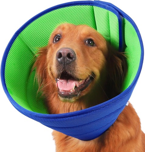 Hundekegel leckschutz hund - hundekegel,