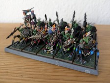 Warhammer Fantasy 10 Waldgoblin Spinnenreiter, Plastik, teilbemalt