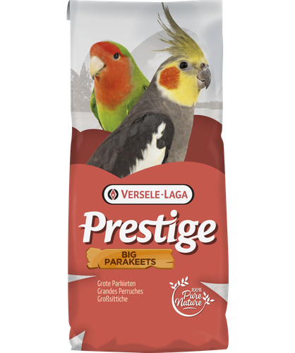 Prestige großsittiche - prestige,