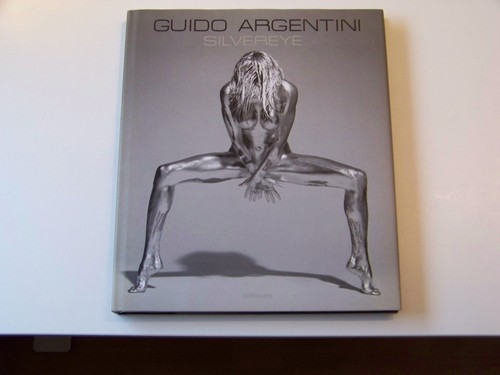 Silvereye guido argentini - silvereye,