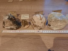Sammlungsauflösung- Konvolut verschiedener Mineralien 