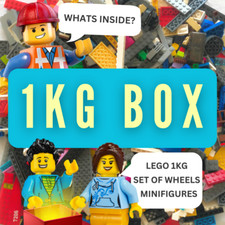 LEGO Konvolut 1kg Set