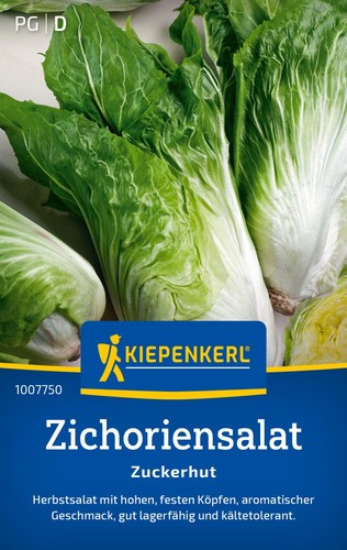Zichoriensalat zuckerhut - *,