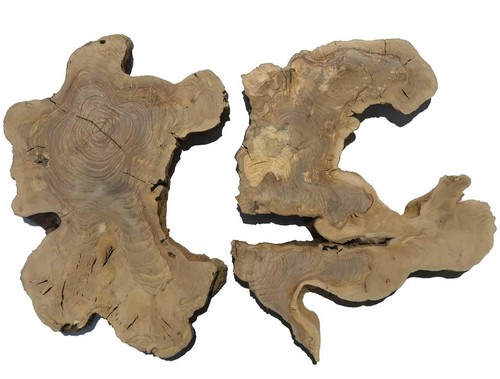 Oliven wurzelholz holz für - 2x,