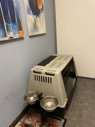 Hartschalen-Hundetransportbox
