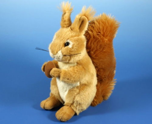 Eichhörnchen plüschtier - eichhörnchen,