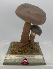 27124/ Vintage Somso