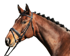 Euroriding Trense Paris