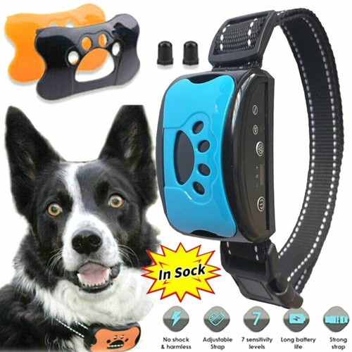 3in1 antibell hunde halsband - hunde,