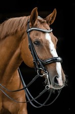 Kandare + Trense in 1 Candice Schwarz Lack Glitzer Leder Butterweich VB WB XFull