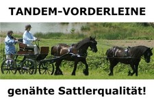 BioThane Tandem Tandemleine