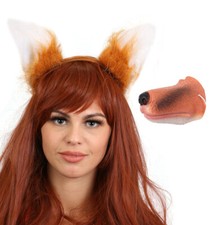 Tier fuchs nase und - nase,