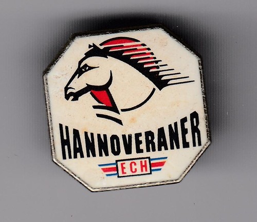 Eishockey pin nhl del logo - nhl,