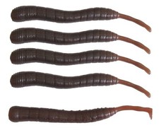 Dieter Eisele Wattwurm Doppelgänger 8cm - 5 künstliche Wattwürmer, Gummiwürmer