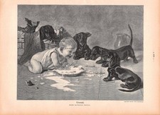 Triumph - Adalbert Roeseler - 1908 - Historischer Holzstich Dackel Hund ~21x30cm