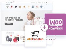 AliDropship Business Website