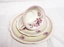 Sammeltasse set creme - sammeltasse, creme/weiß
