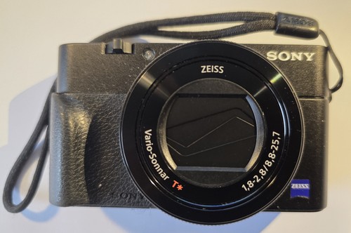 Sony 100 va - rx,