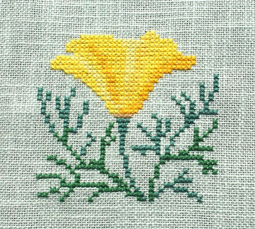 Neu gelber mohn - neu!!!,