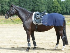 Busse Trainingsdecke FLY