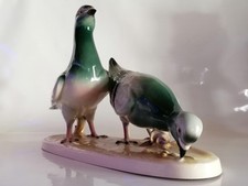 Katzhütte Hertwig & Co Tauben