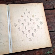 Sammlung handgezeichnete Monogramme - 19.Jh.