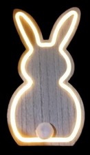 Bezauberndes LED Neon