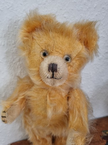 Diem teddy alt cm - diem, 50