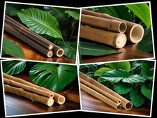 Bambusrohre 100 cm – Natur