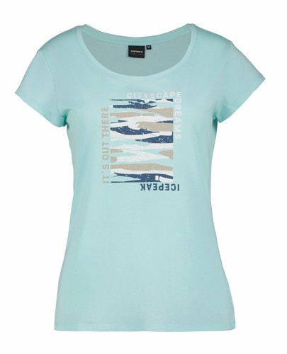 Icepeak 954677689i antiga - icepeak,