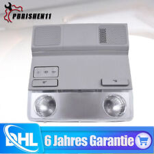 Grau Auto Innenraum Dach Leselicht für VW Golf MK5 MK6 Passat Octavia Skoda DHL