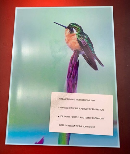 Glasbild kolibri wandbild - glasbild,