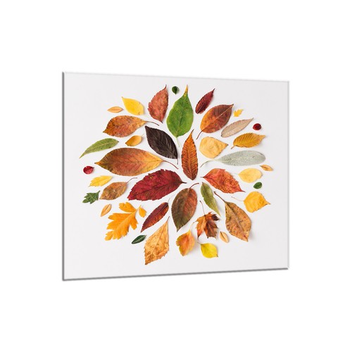 Küchenrückwand glas 65x60 - küchenrückwand,