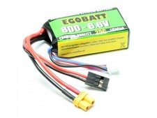 LiFe Li-Fe Akku Egobatt 6,6V