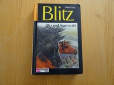 Blitz und Feuerteufel v. Walter Farley Pferdebuch für Kinder ab 10 etwas mitgeno